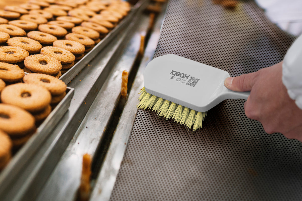 Brosse à manche court blanche – Poils robustes