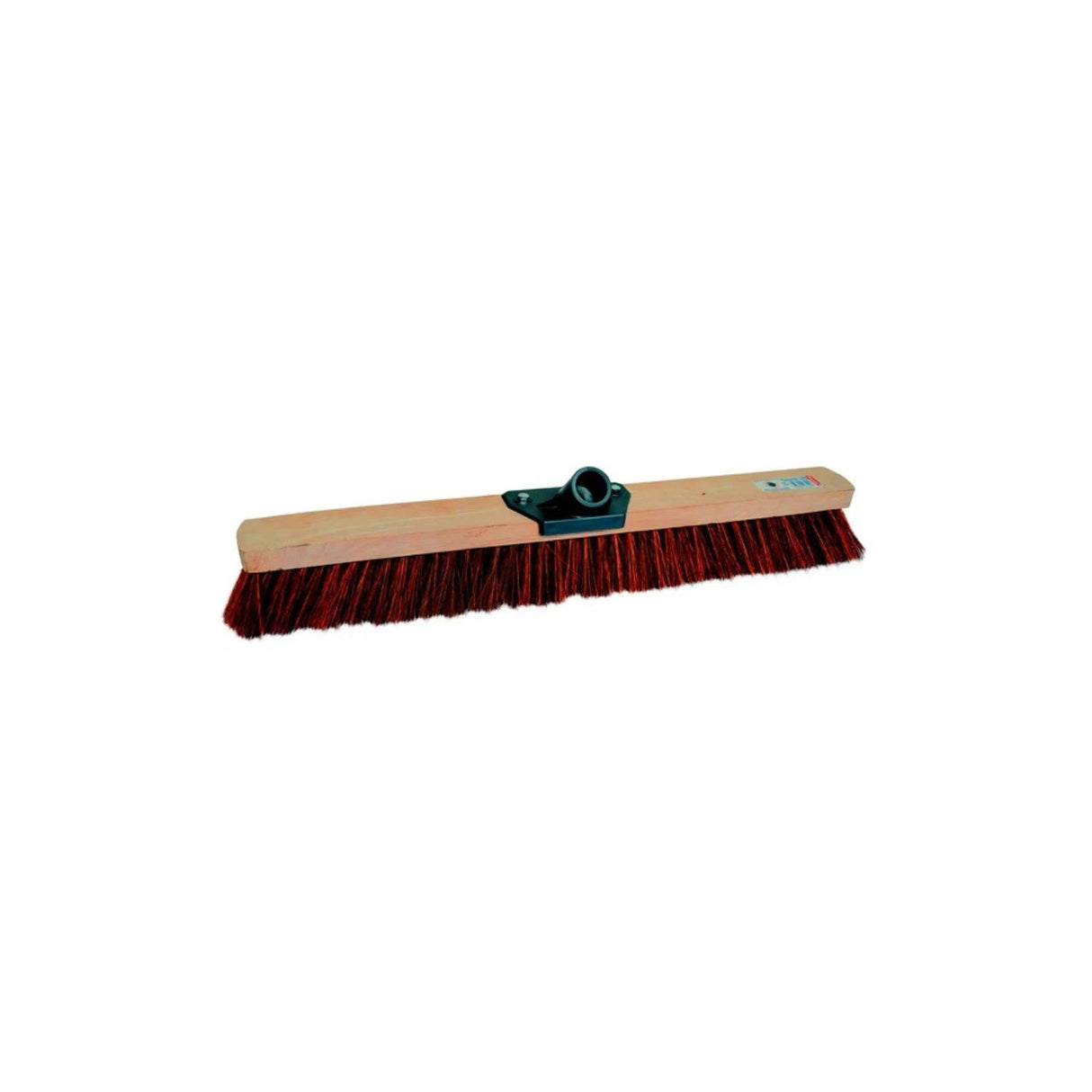 Balai Evolution Coco 60cm