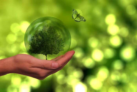 Comment mettre en place un plan de tri efficace dans votre entreprise en 2025 ?