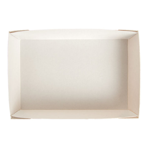BOÎTES 'THEPACK' 220 + 12PP G/M2 22x15x5 CM NATUREL CARTON ONDULÉ NANO-MICRO (200 UNITÉ)